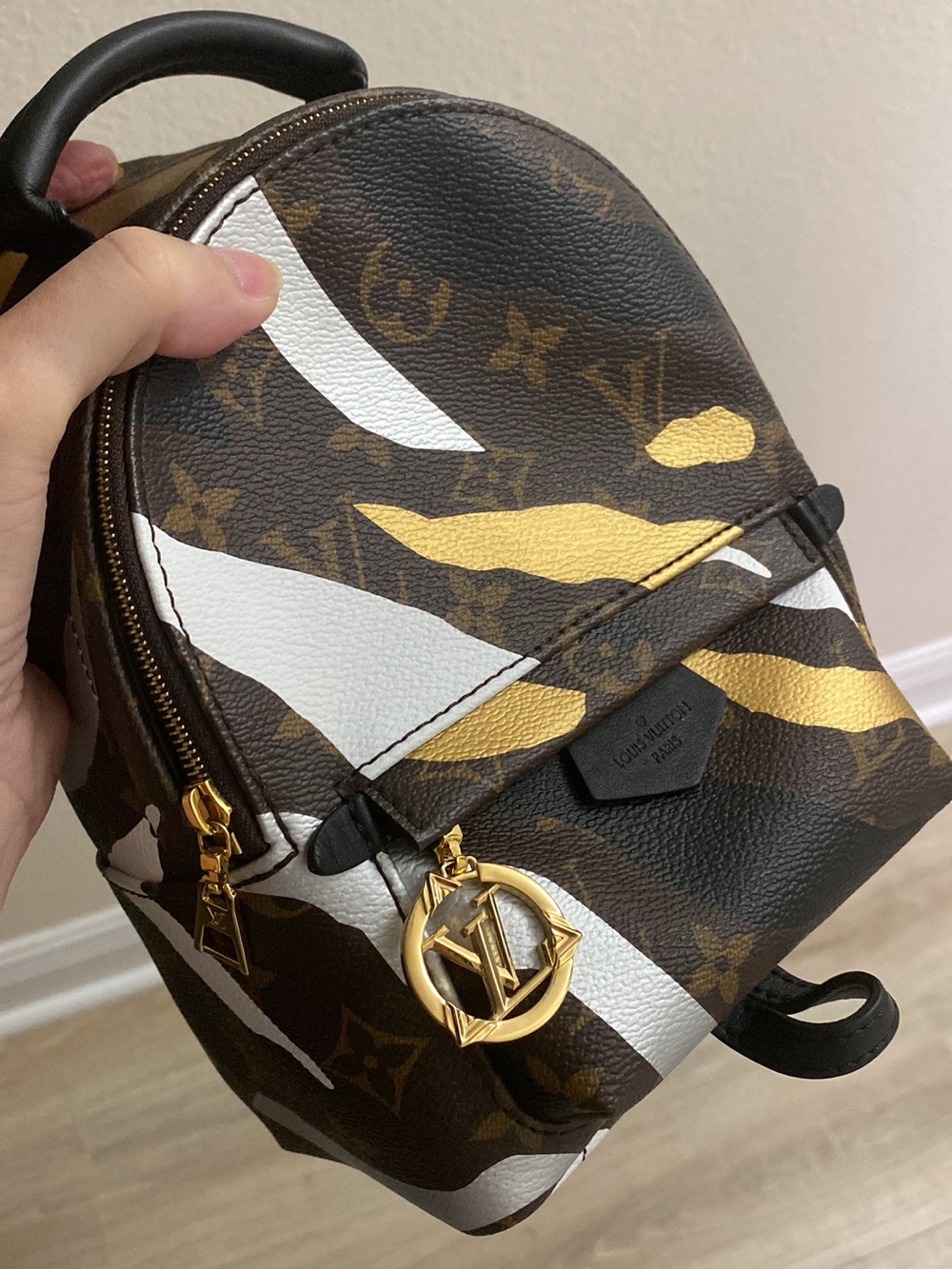 Louis Vuitton Brown Monogram Mini Palm Springs limited edition LOL